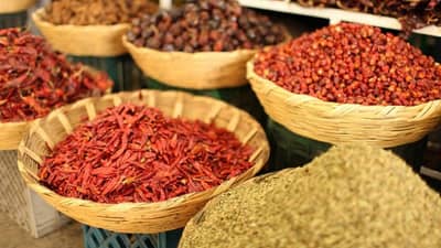 पावसाळ्यात या मसाल्यांचे सेवन करा आवर्जून!