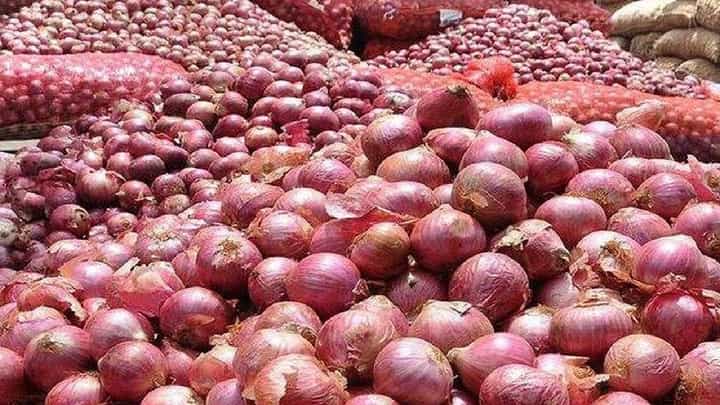 कांदा उत्पादकांसाठी मोठी बातमी; अनुदानावरून राज्य सरकारने केली मोठी घोषणा कांदा उत्पादकांसाठी मोठी बातमी; अनुदानावरून राज्य सरकारने केली मोठी घोषणा