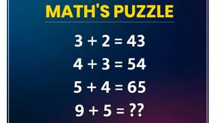 Optical Illusion | हे चित्र बघा, यात तुम्हाला आधी काय दिसतंय? वाचा तुमची पर्सनॅलिटी कशी आहे…