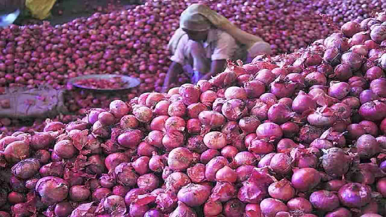 कांदा प्रश्न पेटला, सरकार म्हणतं 15 ऑगस्टपर्यंत देणार, विरोधकांचा प्रश्न कसे देणार?