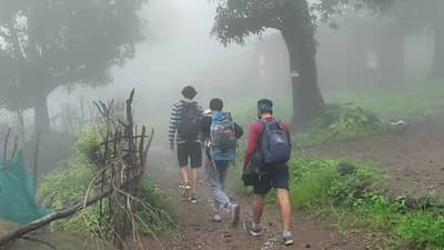 इर्शाळवाडी आधी कशी होती? दरड कुठे आणि कशी कोसळली? बघा ग्राफिक्सच्या माध्यमातून...