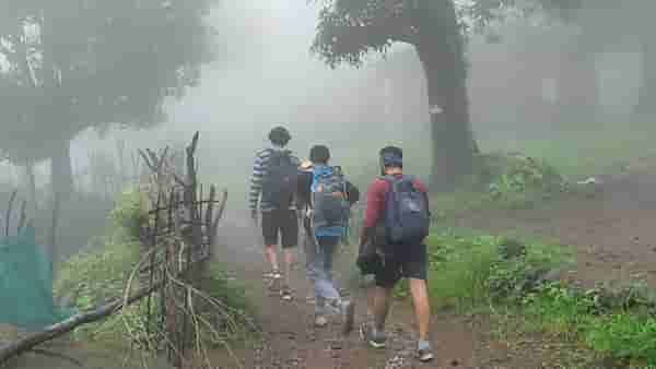 इर्शाळवाडी आधी कशी होती? दरड कुठे आणि कशी कोसळली? बघा ग्राफिक्सच्या माध्यमातून...