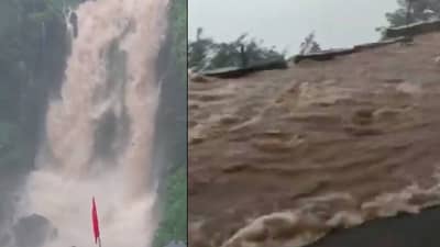 Malshej Ghat | माळशेज घाटात निसर्गाचं रौद्र रुप, तिथे जाण्याआधी एकदा हा VIDEO बघा