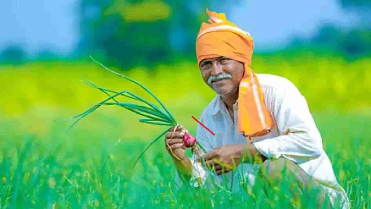 PM Kisan : या दिवशी मिळणार १४ वा हप्ता, तपासा आपले स्टेट्स