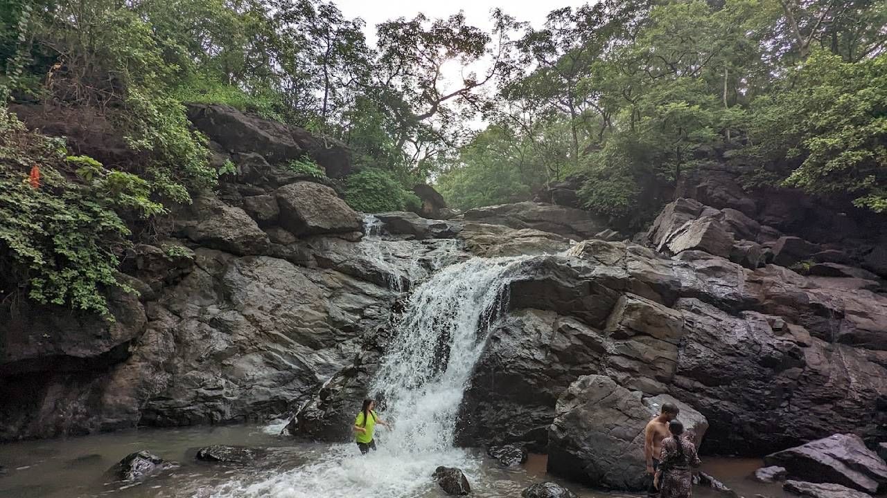 तुंगारेश्वर  धबधबा खळाळला, सुरक्षेच्या दृष्टीने पोलिसांचं पर्यटकांना आवाहन!