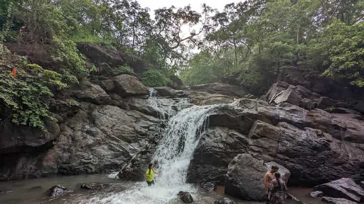 तुंगारेश्वर धबधबा खळाळला, सुरक्षेच्या दृष्टीने पोलिसांचं पर्यटकांना आवाहन! तुंगारेश्वर धबधबा खळाळला, सुरक्षेच्या दृष्टीने पोलिसांचं पर्यटकांना आवाहन!