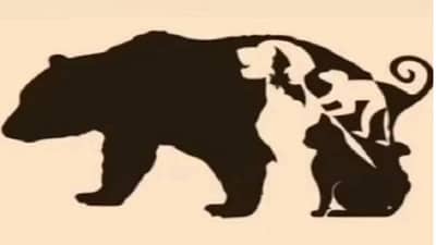 Optical Illusion | या चित्रात एकूण किती प्राणी दिसतायत?