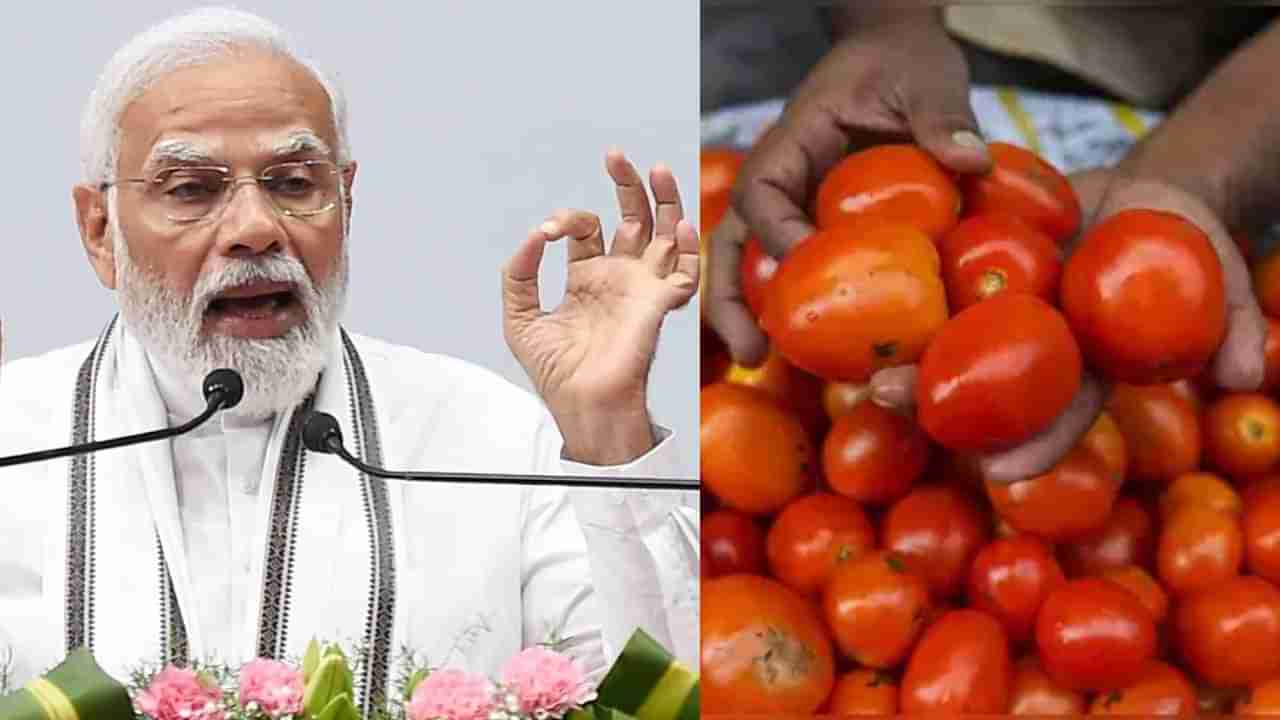 Tomato Rate : टॉमॅटो महाग वाटत असतील तर खाणं बंद करा, नाहीतर कुंडीत लावा!; भाजपच्या मंत्र्याचा अजब सल्ला