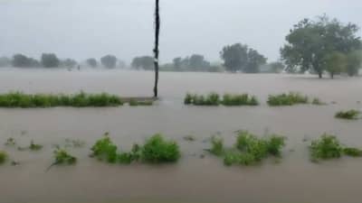 वाशिम मुसळधार! 24 तासात 33 मिमी पाऊस, घरांची पडझड अन् पिकं पाण्याखाली...