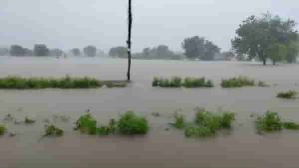 वाशिम मुसळधार! 24 तासात 33 मिमी पाऊस, घरांची पडझड अन् पिकं पाण्याखाली...