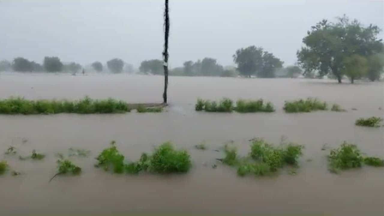 वाशिम मुसळधार! 24 तासात 33 मिमी पाऊस, घरांची पडझड अन् पिकं पाण्याखाली...