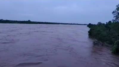 मुसळधार पावसामुळे वर्धा नदीला पूर, चंद्रपूर शहरातील अनेक भाग जलमय