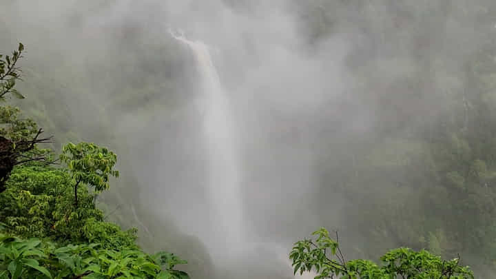 महाबळेश्वरला निघाला असाल तर थांबा; 'हा' महत्वाचा धबधबा तुम्हाला पाहता येणार नाही? ऐन पावसाळ्यात पर्यटकांना बंदी महाबळेश्वरला निघाला असाल तर थांबा; 'हा' महत्वाचा धबधबा तुम्हाला पाहता येणार नाही? ऐन पावसाळ्यात पर्यटकांना बंदी