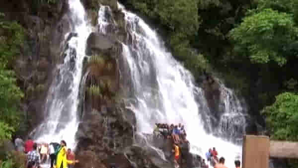मुसळधार पावसामुळे खुललं पानवल धबधब्याचं मनमोहक रूप; धबधब्यावर पर्यटकांची मोठी गर्दी