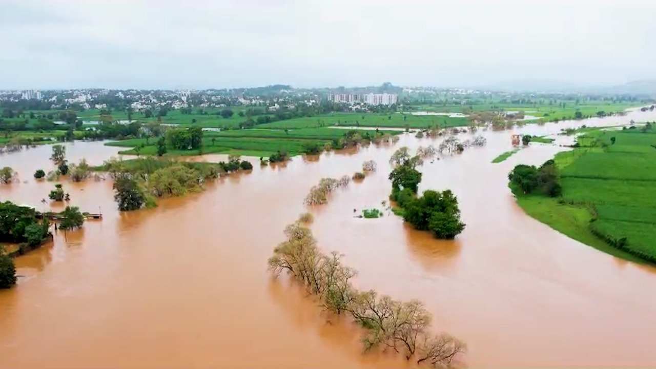 कोल्हापुरात पावसाचा जोर पुन्हा वाढला आहे.  पंचगंगा नदीचं पाणी पातळी 37 फूट पाच इंचावर वाहतं आहे.