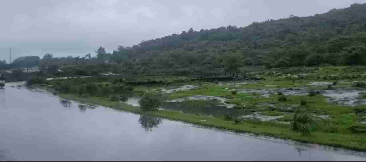 Rain : पुणे जिल्ह्यास रेड अलर्ट, राज्यातील इतर जिल्ह्यांमध्ये कसा असणार पाऊस