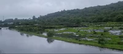 Rain : पुणे जिल्ह्यास रेड अलर्ट, राज्यातील इतर जिल्ह्यांमध्ये कसा असणार पाऊस