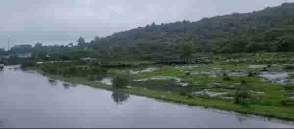 Rain : पुणे जिल्ह्यास रेड अलर्ट, राज्यातील इतर जिल्ह्यांमध्ये कसा असणार पाऊस