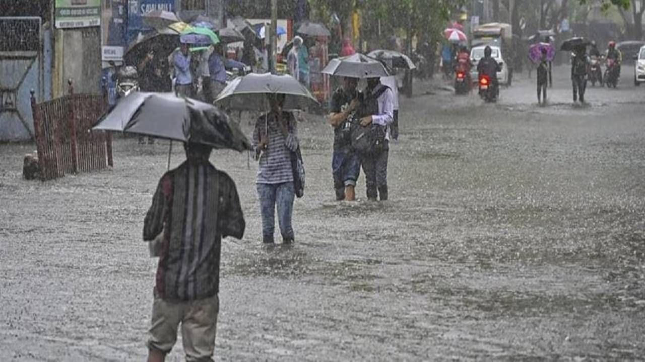Maharashtra Rain : सातारा जिल्ह्याला रेड अलर्ट, सुरक्षेच्या दृष्टीनं जिल्हाधिकाऱ्यांनी काय घेतला मोठा निर्णय?