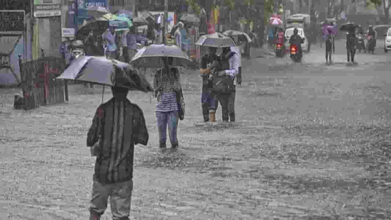 Maharashtra Rain : सातारा जिल्ह्याला रेड अलर्ट, सुरक्षेच्या दृष्टीनं जिल्हाधिकाऱ्यांनी काय घेतला मोठा निर्णय? Maharashtra Rain : सातारा जिल्ह्याला रेड अलर्ट, सुरक्षेच्या दृष्टीनं जिल्हाधिकाऱ्यांनी काय घेतला मोठा निर्णय?