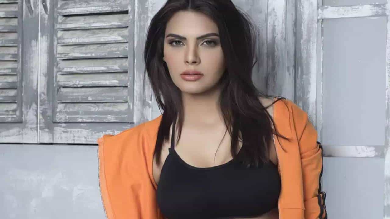 शर्लिन चोप्रा हिने काही दिवसांपूर्वीच अभिनेत्री शिल्पा शेट्टी हिचा पती राज कुंद्रा याच्याविरोधात तक्रार दाखल केली. इतकेच नाही तर राज कुंद्रा याने देखील शर्लिन चोप्राच्या विरोधात सोशल मीडियावर पोस्ट शेअर केली होती.