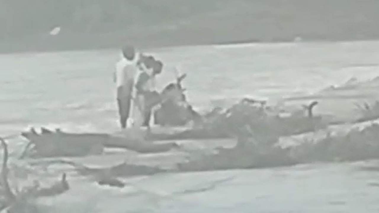 नदीपात्रातून जातानाचा तिघांचा व्हिडीओ व्हायरल, एक जण पाण्यातच लोळतो तेव्हा…
