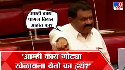 आम्ही काय गोट्या खेळायला आलो का? पागलबिगल आहोत का? सुरेश धस सभागृहात प्रचंड संतापले