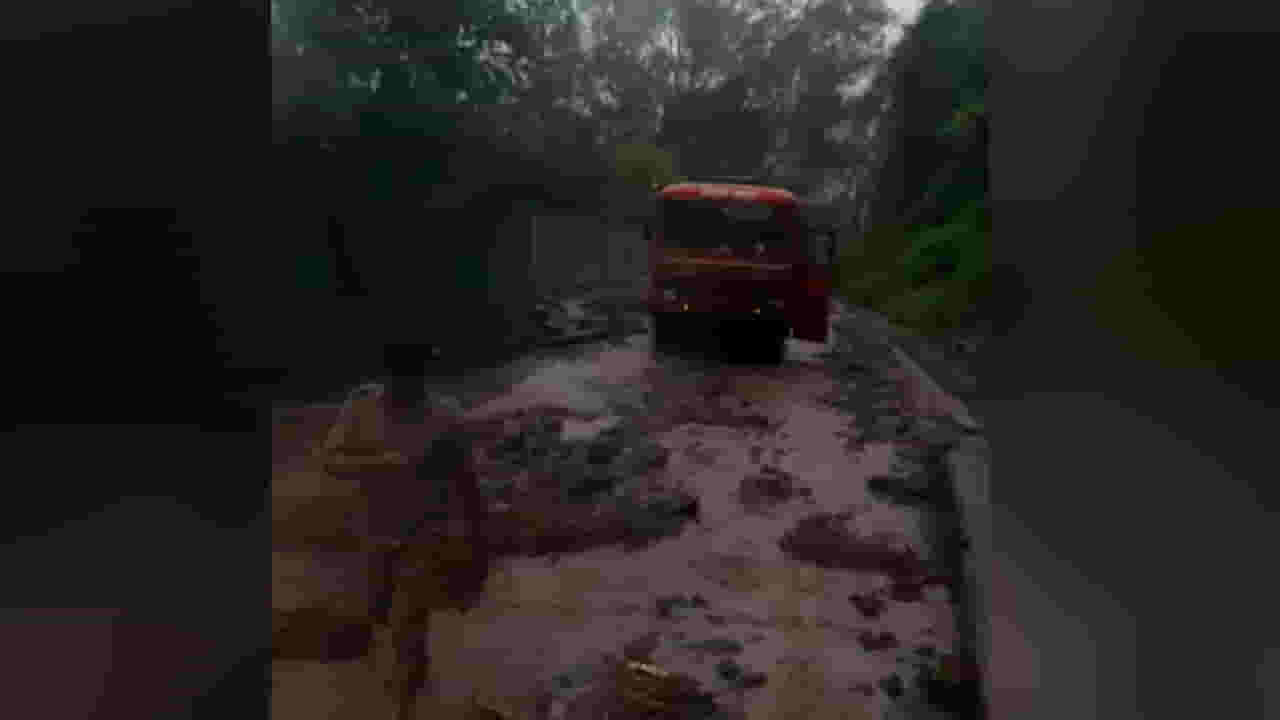 Amravati landslide : चिखलदरा ते घटांग मार्ग बंद; प्रवाशांना मोठा फटका? नेमकं कारण काय? Amravati landslide : चिखलदरा ते घटांग मार्ग बंद; प्रवाशांना मोठा फटका? नेमकं कारण काय?