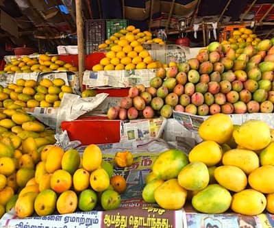 Daily Static GK Quiz : आंब्याचं शहर कोणत्या शहराला म्हटलं जातं ?