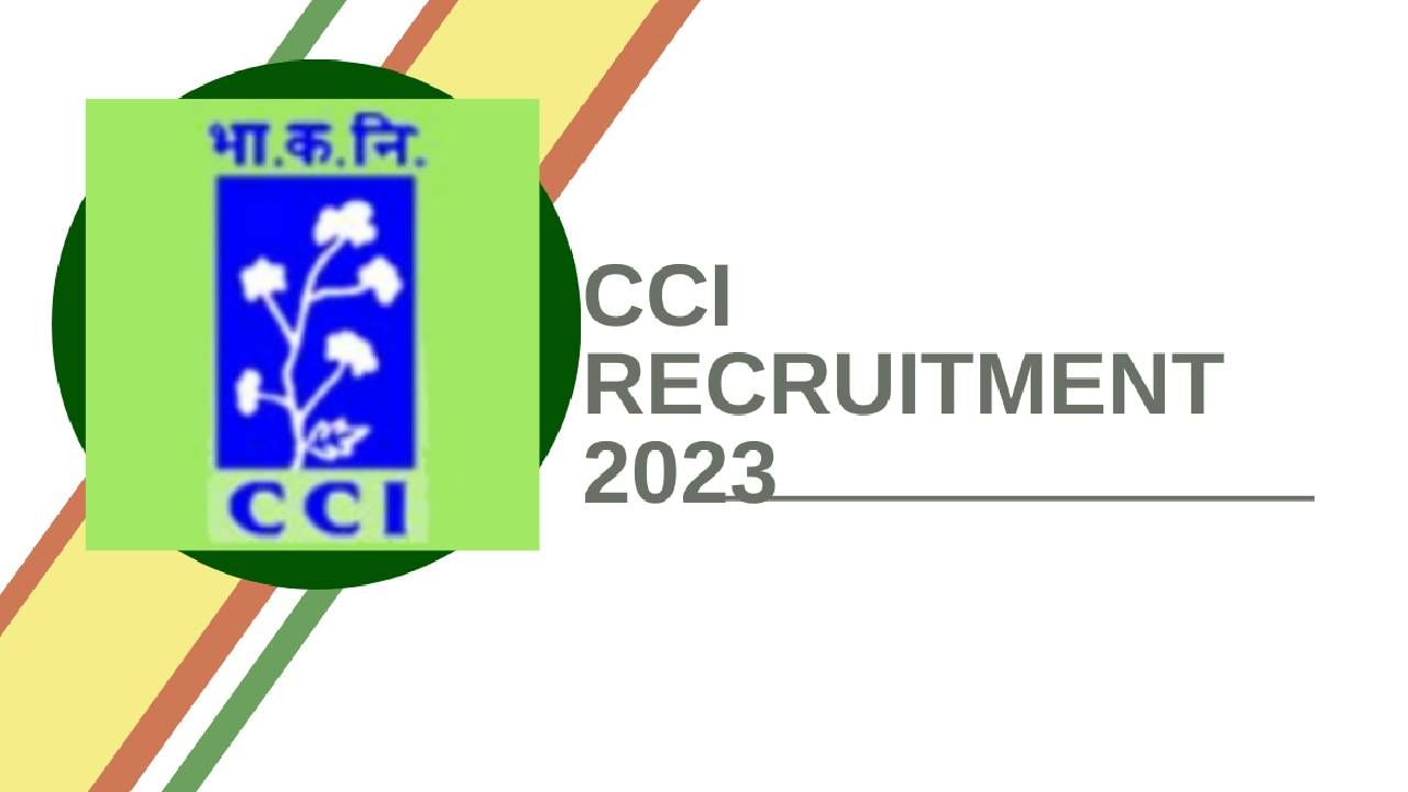 CCIL Recruitment : भारतीय कापूस महामंडळात पदभरती, अशी मिळेल मोठी संधी