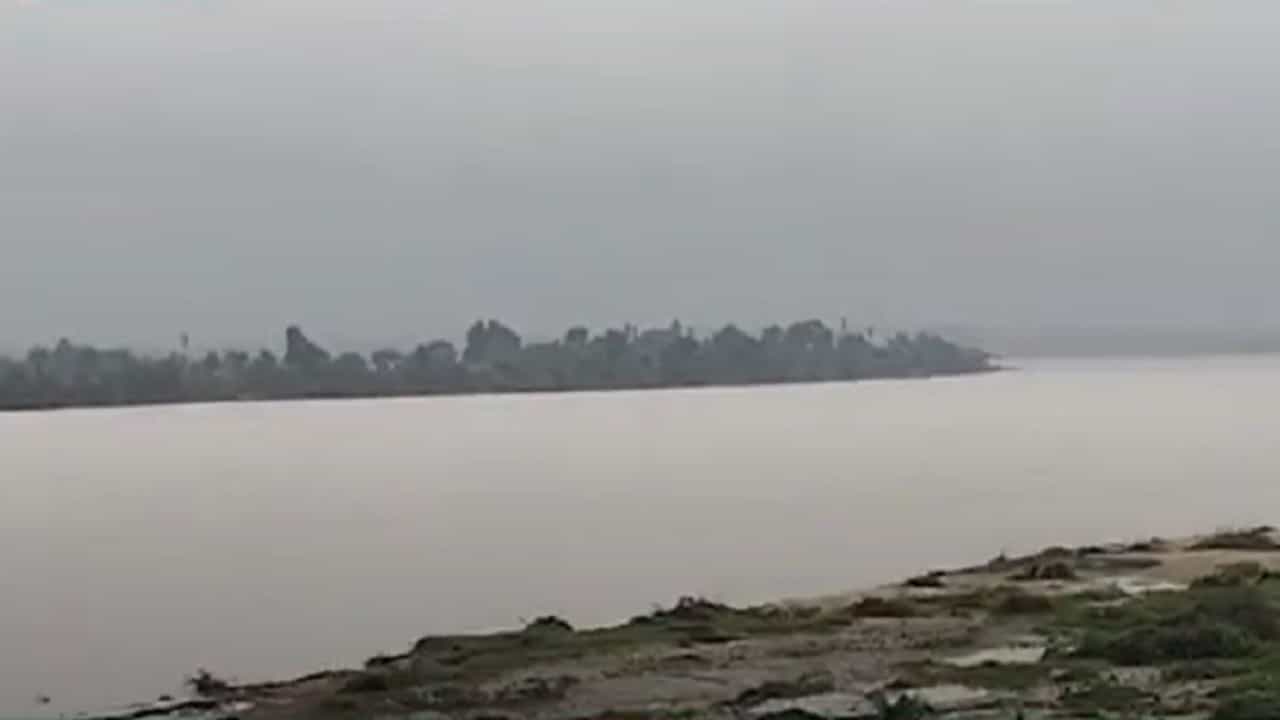 गडचिरोलीला मुसळधार पावसानं झोडपलं, नद्यांच्या पाणी पातळीत वाढ, कशी आहे सध्यस्थिती?