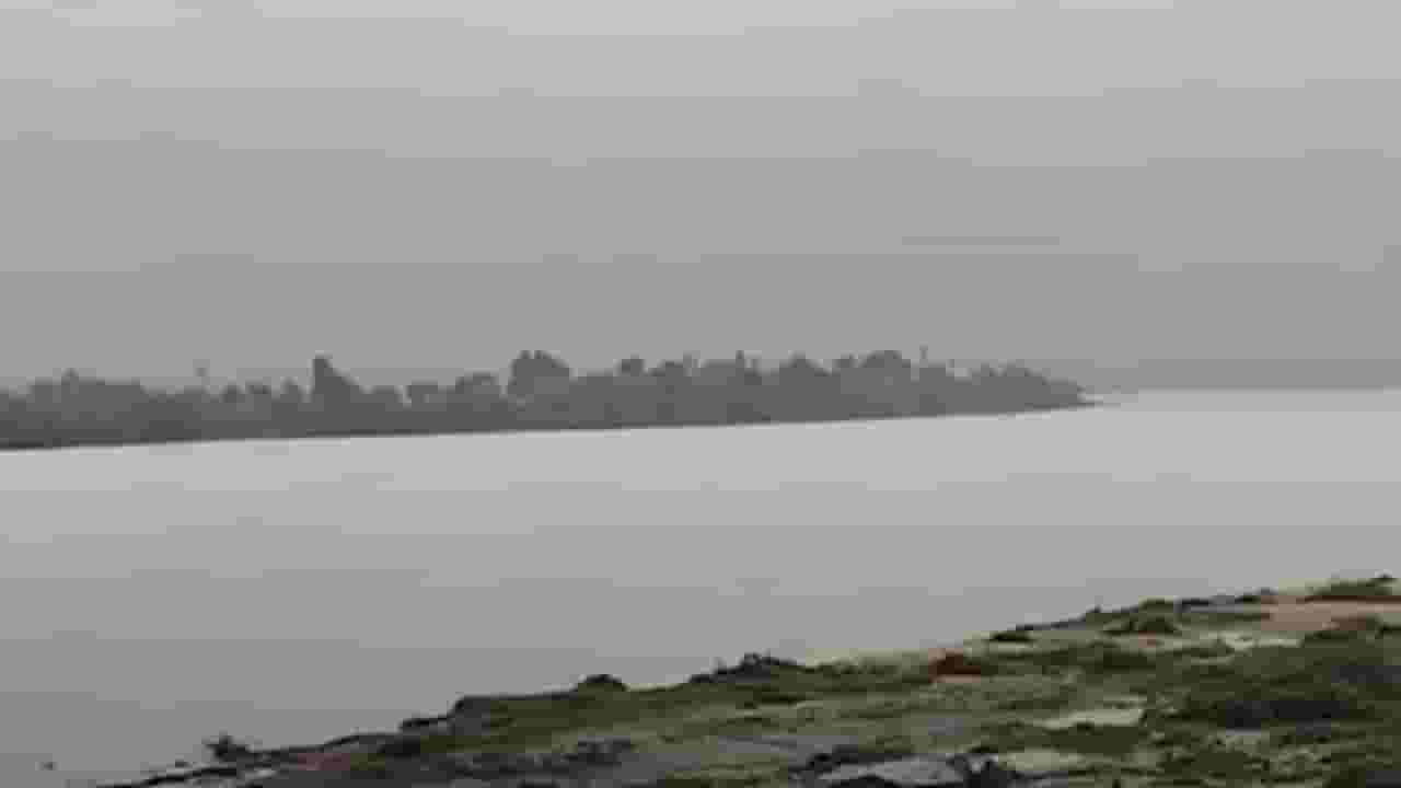 गडचिरोलीला मुसळधार पावसानं झोडपलं, नद्यांच्या पाणी पातळीत वाढ, कशी आहे सध्यस्थिती?