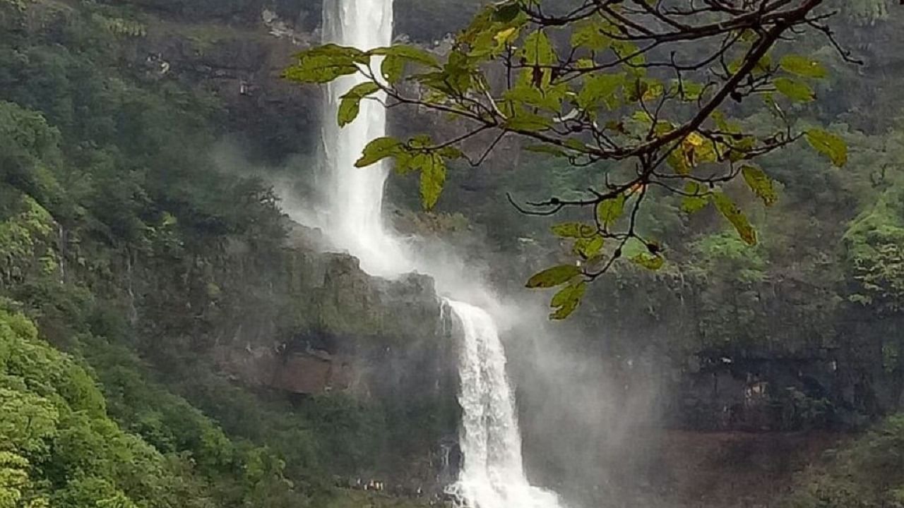 साताऱ्यातील भांबवली धबधबाचे विहंगम दृश्य तुम्ही पाहिलंत का? बघा व्हिडीओ