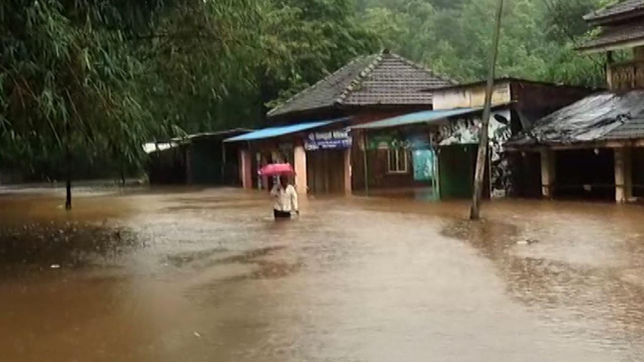 कुठे मुसळधार, तर कुठे विजांचा कडकडाट, तर कुठे नद्यांना पूर; राज्यात सध्या पावसाची स्थिती काय? जाणून घ्या...