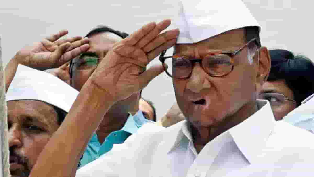 राष्ट्रवादीच्या फुटीनंतर शरद पवार यांची मोठी खेळी, पवार यांच्या खेळीने भाजपला खिंडार पडणार? राष्ट्रवादीच्या फुटीनंतर शरद पवार यांची मोठी खेळी, पवार यांच्या खेळीने भाजपला खिंडार पडणार?