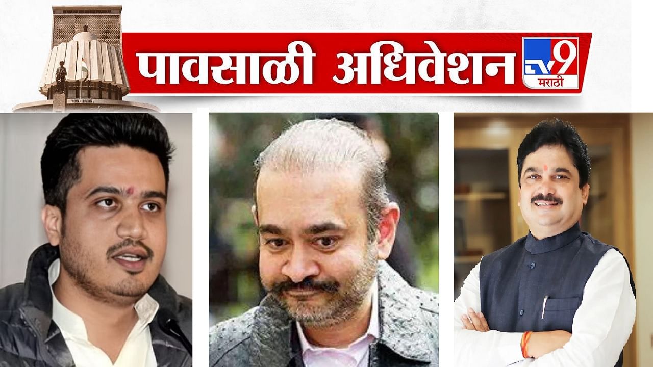 लंडनला पळून गेलेला निरव मोदी कर्जतमध्ये? मंत्री म्हणतात, तो तोच असेल तर...