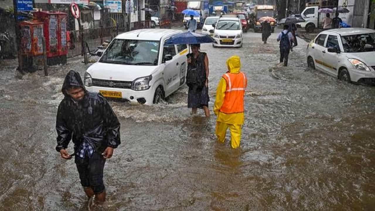 राज्यात आजही धुव्वाधार पाऊस? हवामान खात्यानं कुठं दिला रेड अन् ऑरेंज अलर्ट? जाणून घ्या... राज्यात आजही धुव्वाधार पाऊस? हवामान खात्यानं कुठं दिला रेड अन् ऑरेंज अलर्ट? जाणून घ्या...