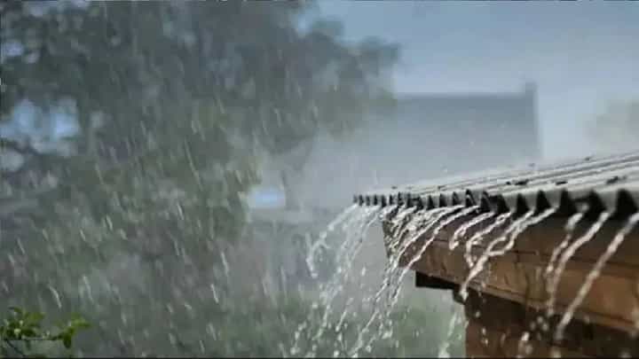 राज्यात आजपासून पावसाचा जोर कमी होणार, हवामान विभागाने दिली माहिती राज्यात आजपासून पावसाचा जोर कमी होणार, हवामान विभागाने दिली माहिती