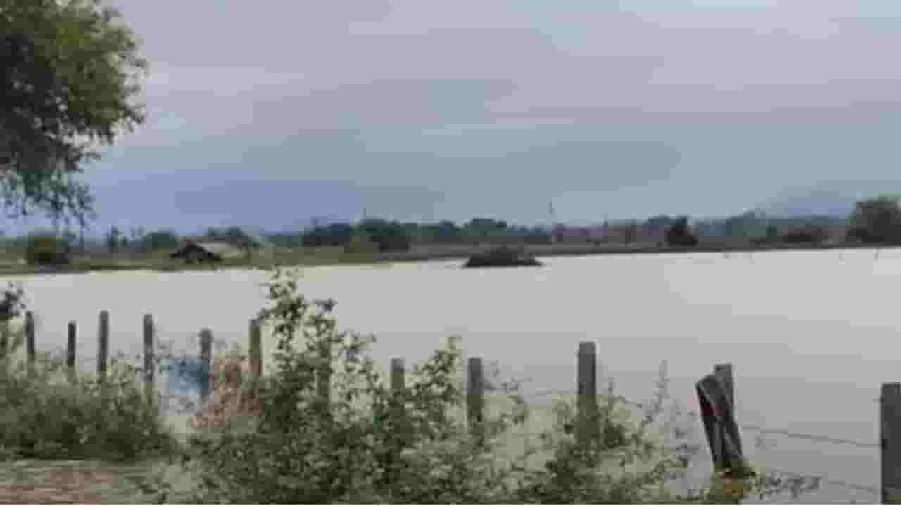 गडचिरोलीत रेड अलर्ट; नगरम आणि धर्मपुरी येथे पूर परिस्थिती