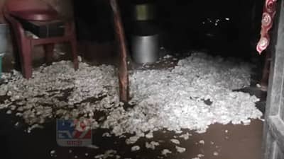 बुलढाण्यात पुराच्या पाण्यानं अनेक गावांना फटका, कित्येक संसार उध्वस्त अन् झालं होत्याचं नव्हतं!