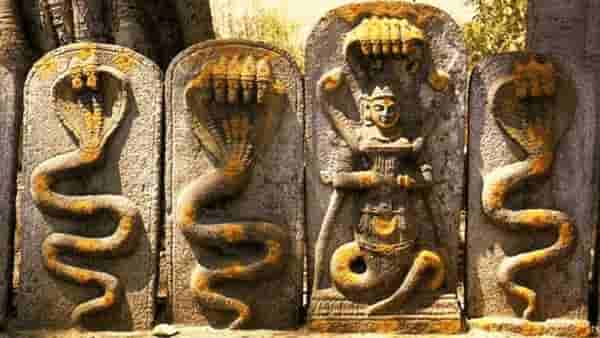 Nagpanchami 2023 : नागपंचमीला तवा, टोकदार वस्तू का वापरत नाही? दूध लाह्याच्या नैवेद्यामागे हे आहे कारण