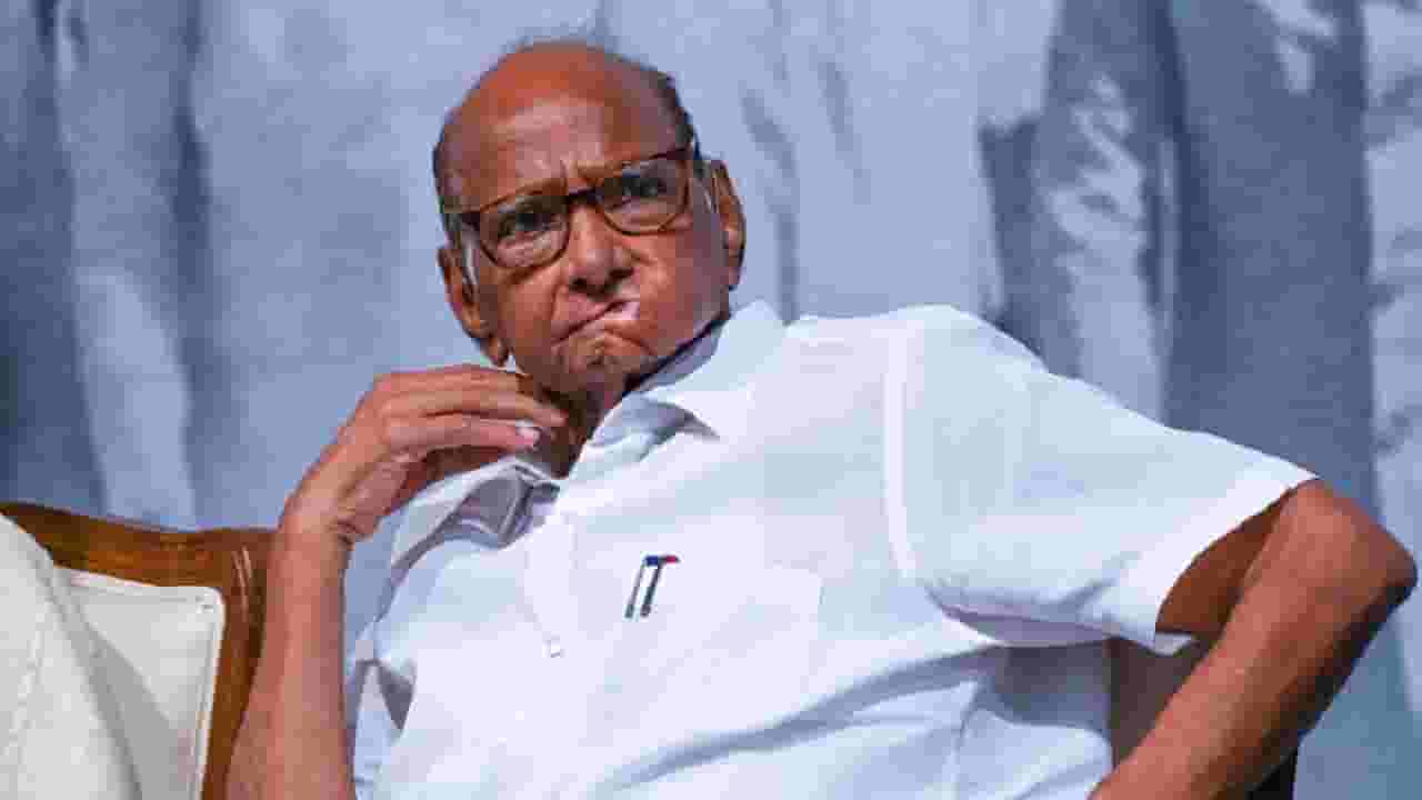 Sharad Pawar : बंडखोरांना घाम फोडणारी बातमी! शरद पवार पुन्हा मैदानात? आता कोणता गेम? कोणाचा गेम?