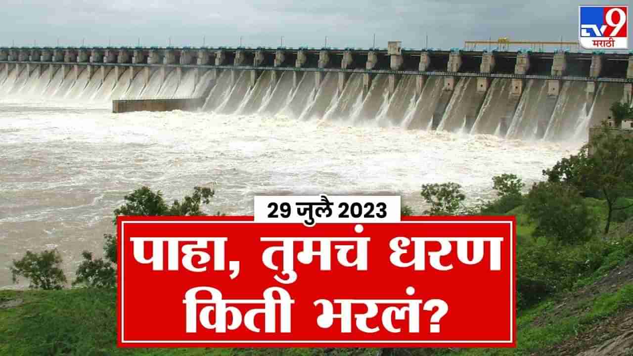 तुमचं धरण किती टक्के भरलं?, पाहा आजचा आकडा, शहर, शेतीचा पाणी प्रश्न संपणार का?