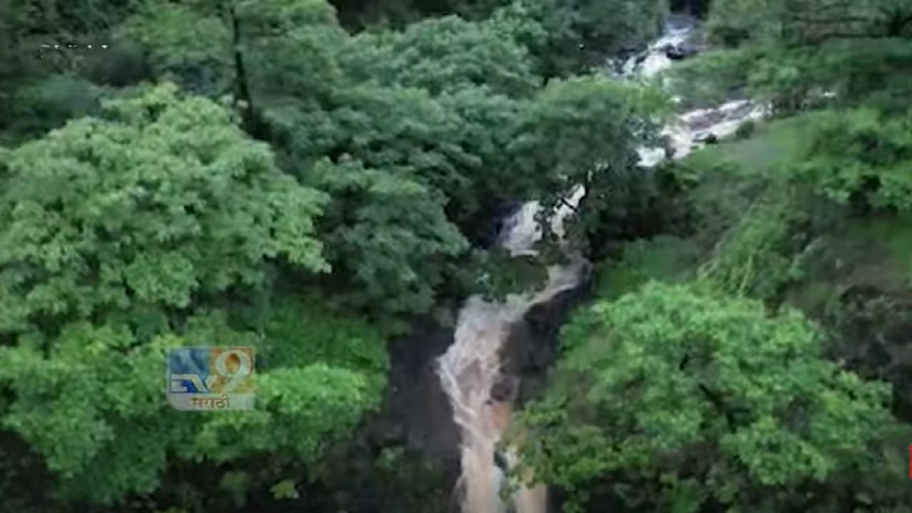 कोल्हापुरकरांसाठी आनंदाची बातमी! राऊतवाडी धबधबा पर्यटकांसाठी खुला, आता मनसोक्त लुटता येणार आनंद