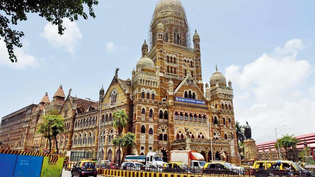 मुंबईकरांची चिंता मिटली, मात्र एक आठवड्याची वाट पहावीच लागणार? महापालिकेनं का घेतला असा निर्णय