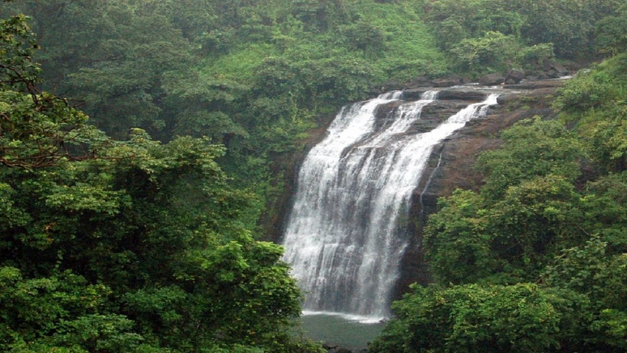 विकेन्डला अशोका धबधब्यावर 'ओव्हरफ्लो' गर्दी, प्रशासनाच्या 'त्या' निर्णयानं हौशी पर्यटकांचा हिरमोड