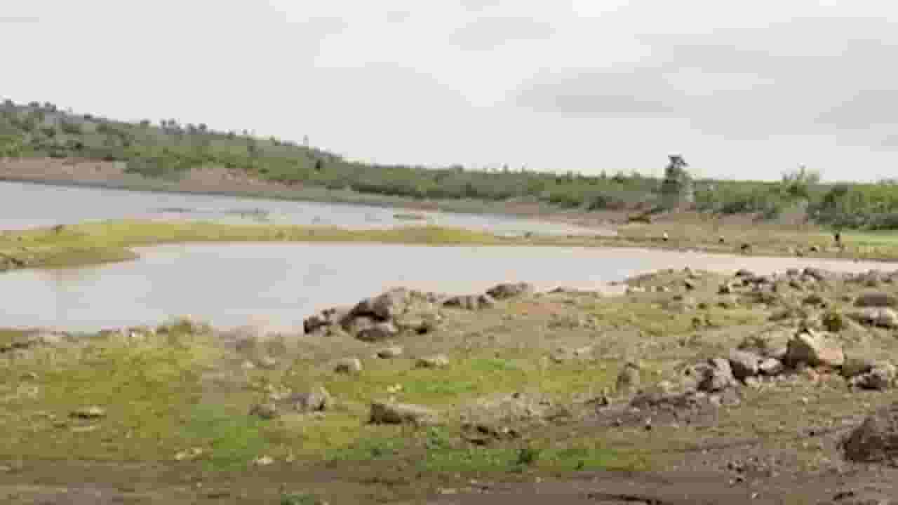 राज्यात मुसळधार पावसाचं थैमान, मात्र 'या' जिल्ह्यात पावसानं फिरवली पाठ; बळीराजा चिंतेत