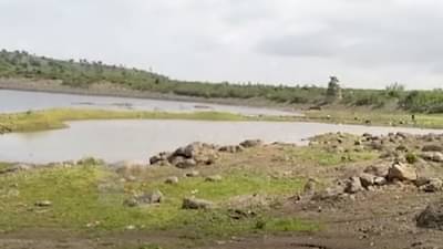 राज्यात मुसळधार पावसाचं थैमान, मात्र ‘या’ जिल्ह्यात पावसानं फिरवली पाठ; बळीराजा चिंतेत