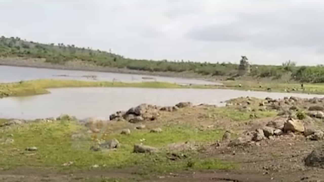 राज्यात मुसळधार पावसाचं थैमान, मात्र 'या' जिल्ह्यात पावसानं फिरवली पाठ; बळीराजा चिंतेत राज्यात मुसळधार पावसाचं थैमान, मात्र 'या' जिल्ह्यात पावसानं फिरवली पाठ; बळीराजा चिंतेत