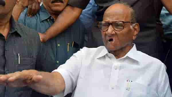 जयंत पाटील भाजपमध्ये जाणार? ईडीचा उल्लेख करत नेमकं काय म्हणाले शरद पवार?